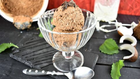 Chocolate-coconut-ice-cream-2-SunCakeMom