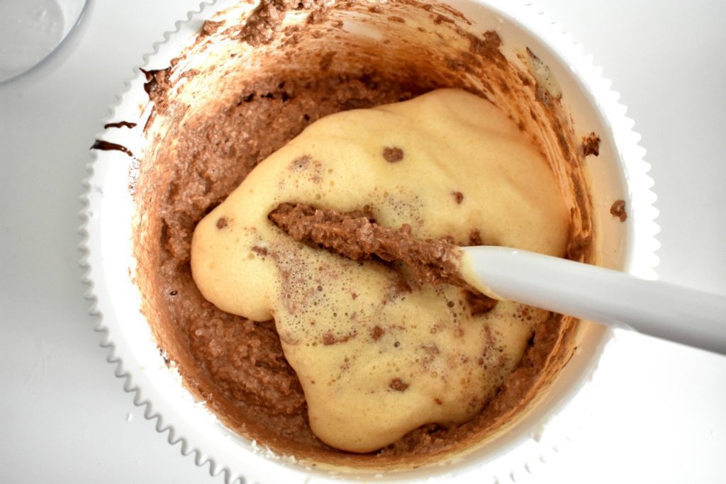 Chocolate-coconut-ice-cream-process-8-SunCakeMom